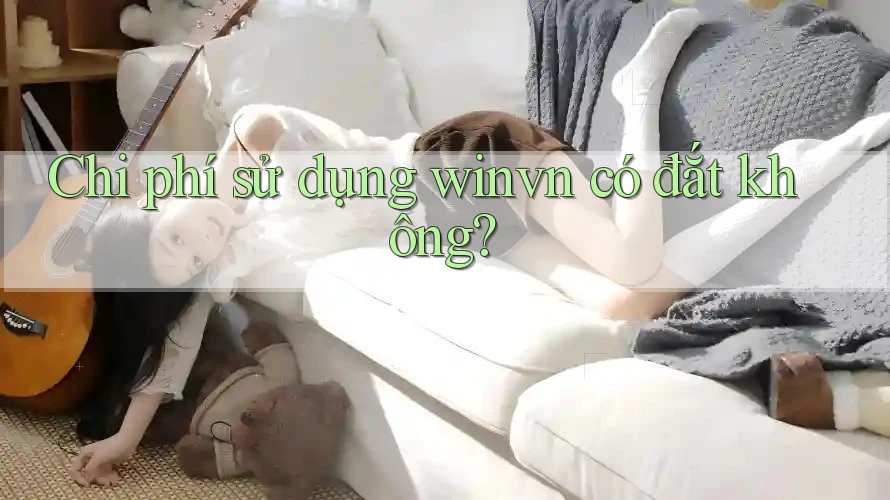 Chi phí sử dụng winvn có đắt không? Chi phí sử dụng winvn có đắt không?