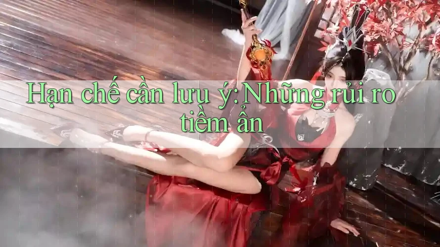 Hạn chế cần lưu ý: những rủi ro tiềm ẩn Hạn chế cần lưu ý: những rủi ro tiềm ẩn