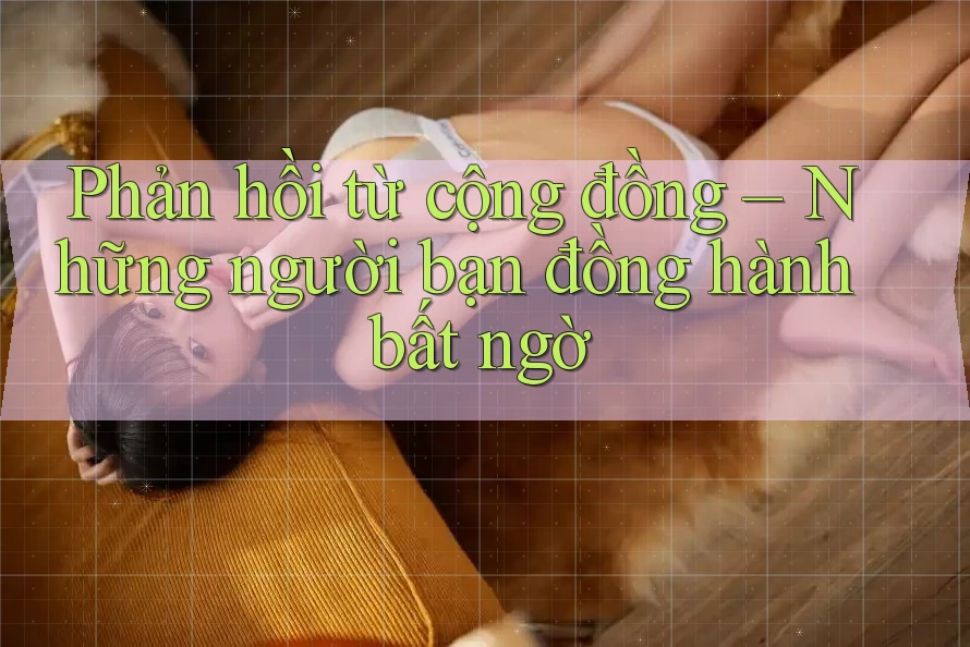 Phản hồi từ cộng đồng – Những người bạn đồng hành bất ngờ